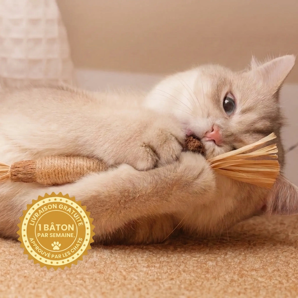 x4 Bâtons Dentaires Instinct™ — 100% Naturel